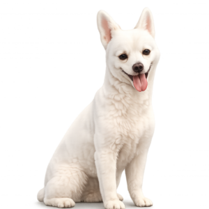im largg